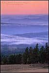 Picture: Misty clouds at dawn over evergreen trees and forest, Crater Lake National Park, Oregon