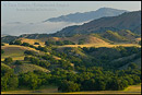 Picture: Oak trees and rolling green hills in Spring in rugged rangelands at the base of the Santa Ynez Mountains, California
