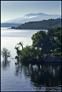 Photo: Lake Cachuma, near Santa Ynez, Santa Barbara County, California