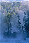 Photo: Misty Fall morning along the Yellowstone River, Canyon Region, Yellowstone National Park, Wyoming